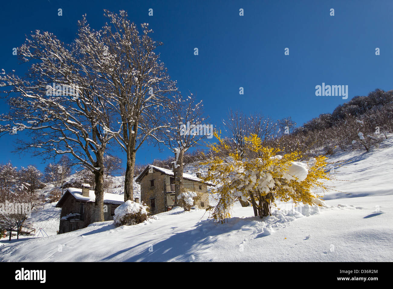 Sunny Snowy Day in  Valsassina Mountain Stock Photo
