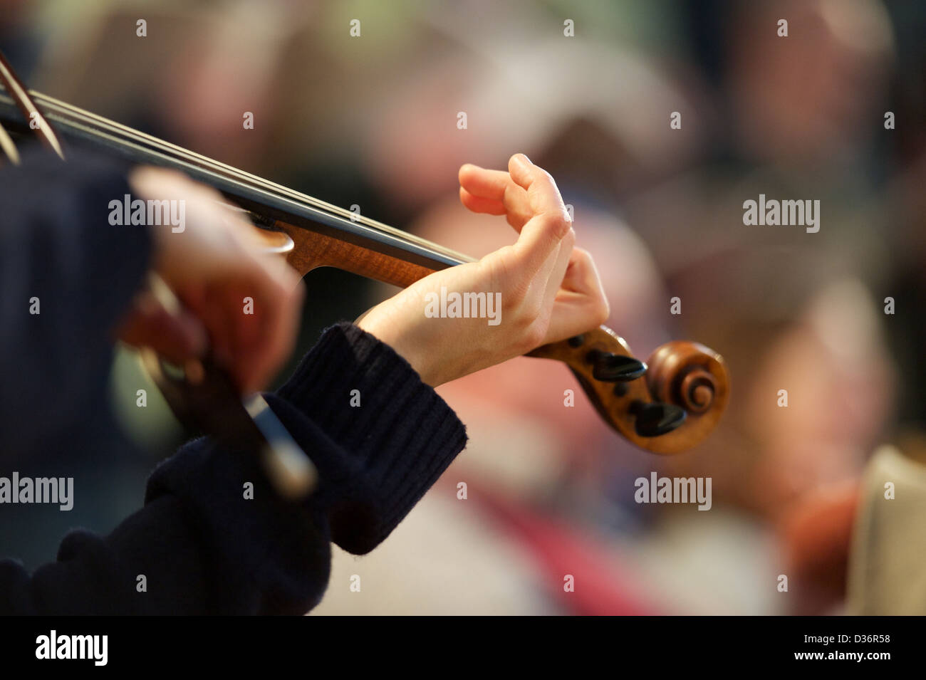Violinist rehearsing with an orchestra in Oxford. Stock Photo