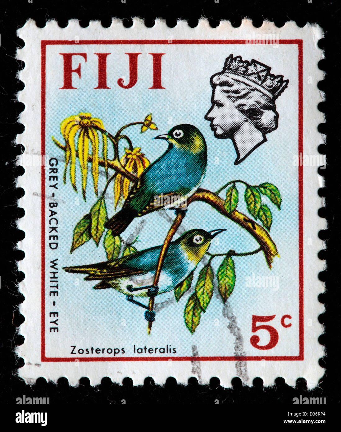 Green-backed White-eye (Zosterops xanthochroa), postage stamp, Fiji, 1971 Stock Photo