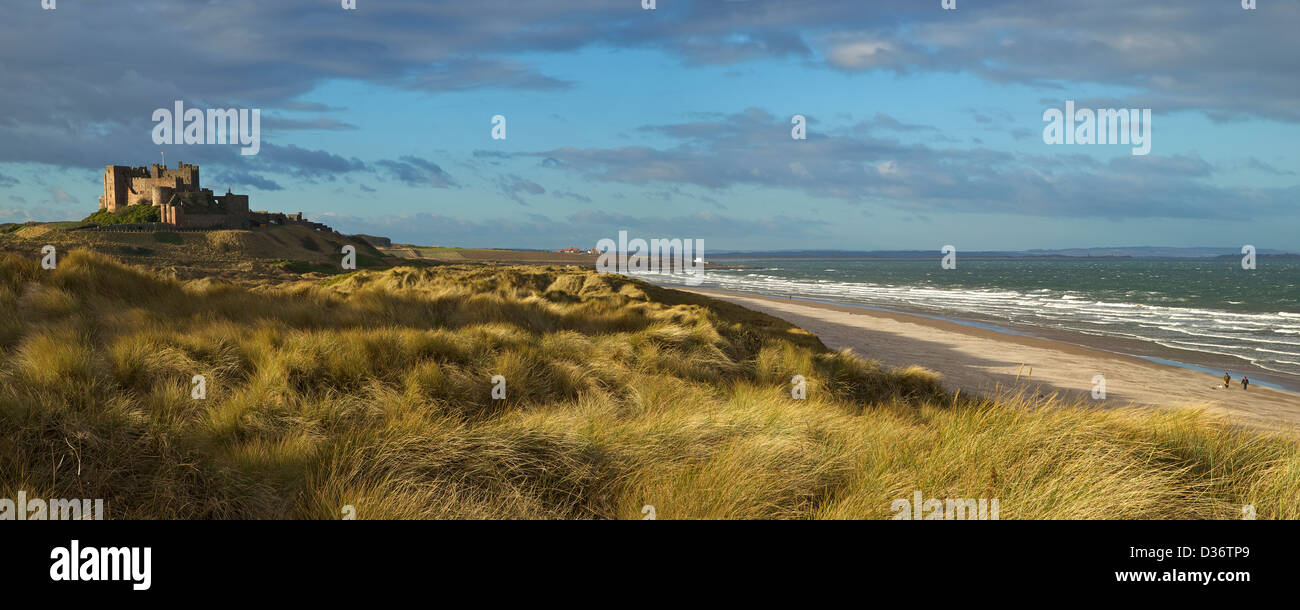 Marram grass, beach and surf with Bamburgh Castle, Bamburgh, Northumberland, Northeast England, UK, GB, Stock Photo