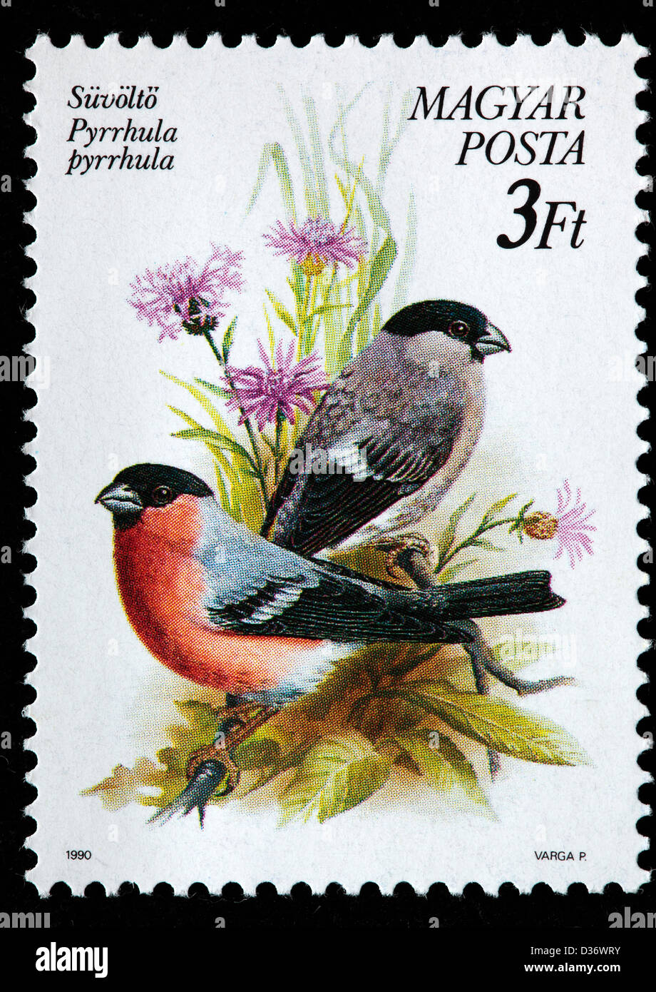 Eurasian Bullfinch (Pyrrhula pyrrhula), postage stamp, Hungary, 1990 Stock Photo