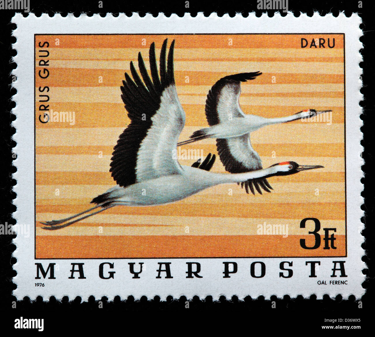 Eurasian Crane (Grus Grus), postage stamp, Hungary, 1976 Stock Photo