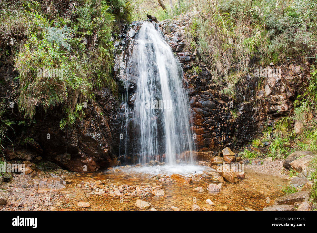 Second Falls in The Waterfall Gully National Park, found along the popular hiking trail to Mt. Lofty Stock Photo