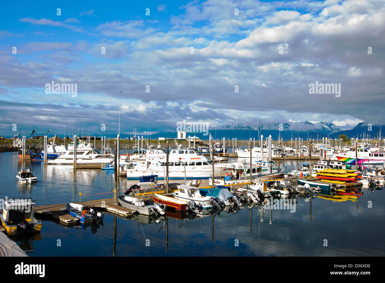 Charter and commercial fishing boats in the harbor, Homer, Alaska, USA