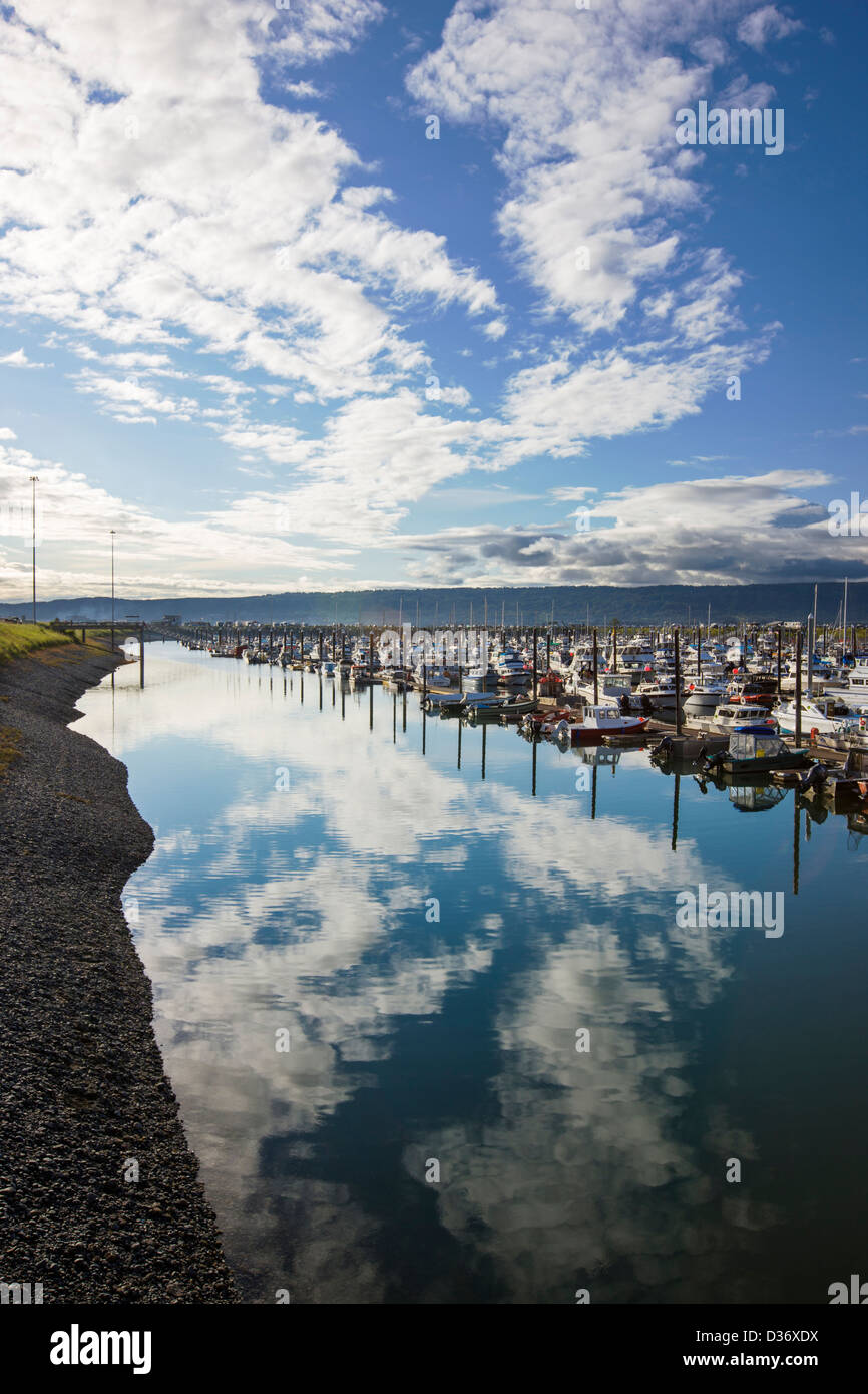 Charter and commercial fishing boats in the harbor, Homer, Alaska, USA Stock Photo Alamy