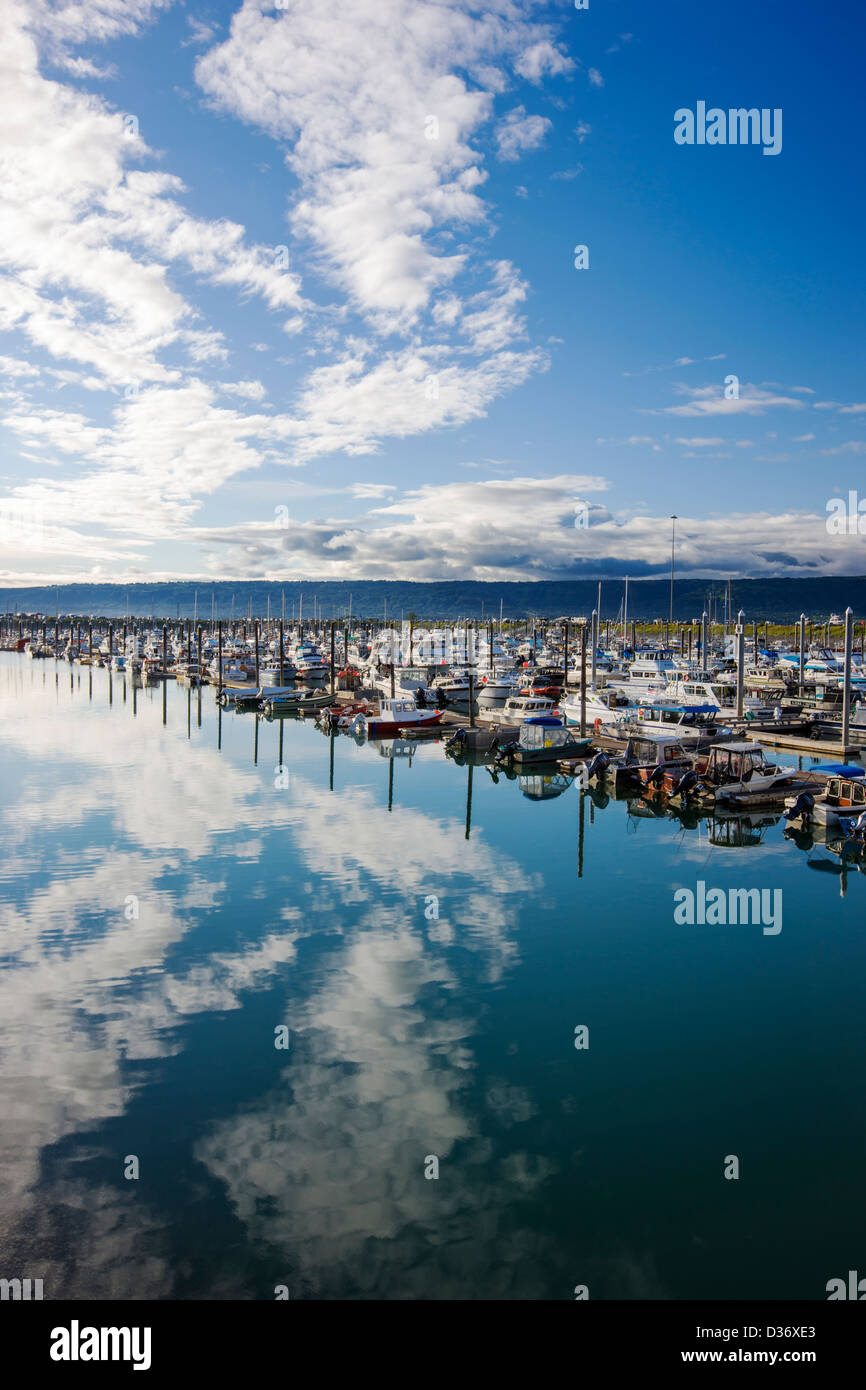 Charter and commercial fishing boats in the harbor, Homer, Alaska, USA