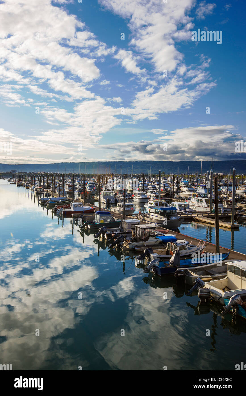 Charter and commercial fishing boats in the harbor, Homer, Alaska, USA