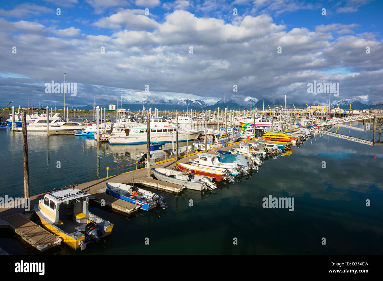 Charter and commercial fishing boats in the harbor, Homer, Alaska, USA