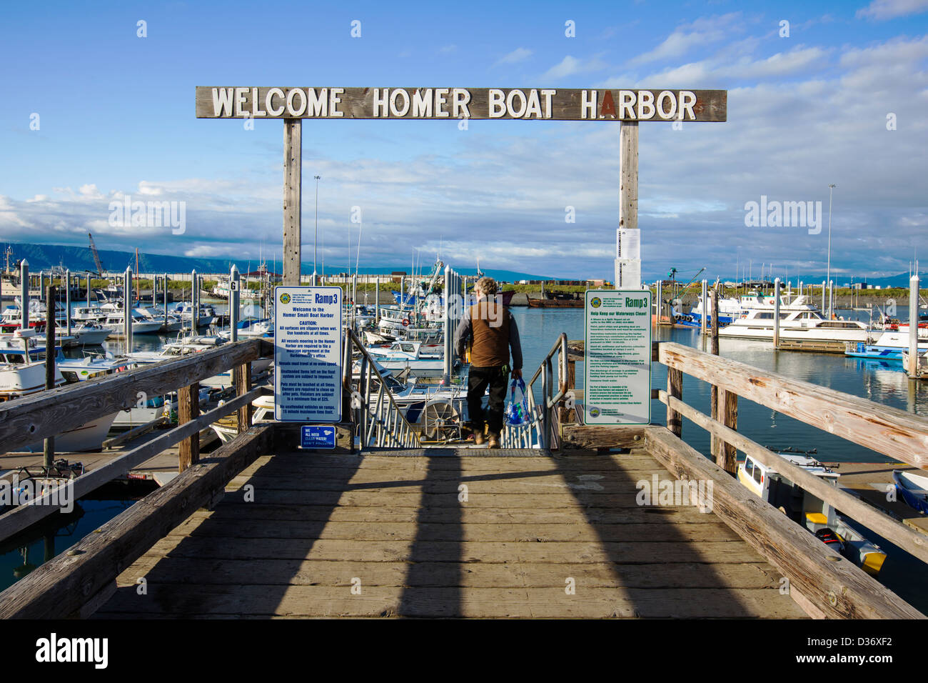 Charter and commercial fishing boats in the harbor, Homer, Alaska, USA