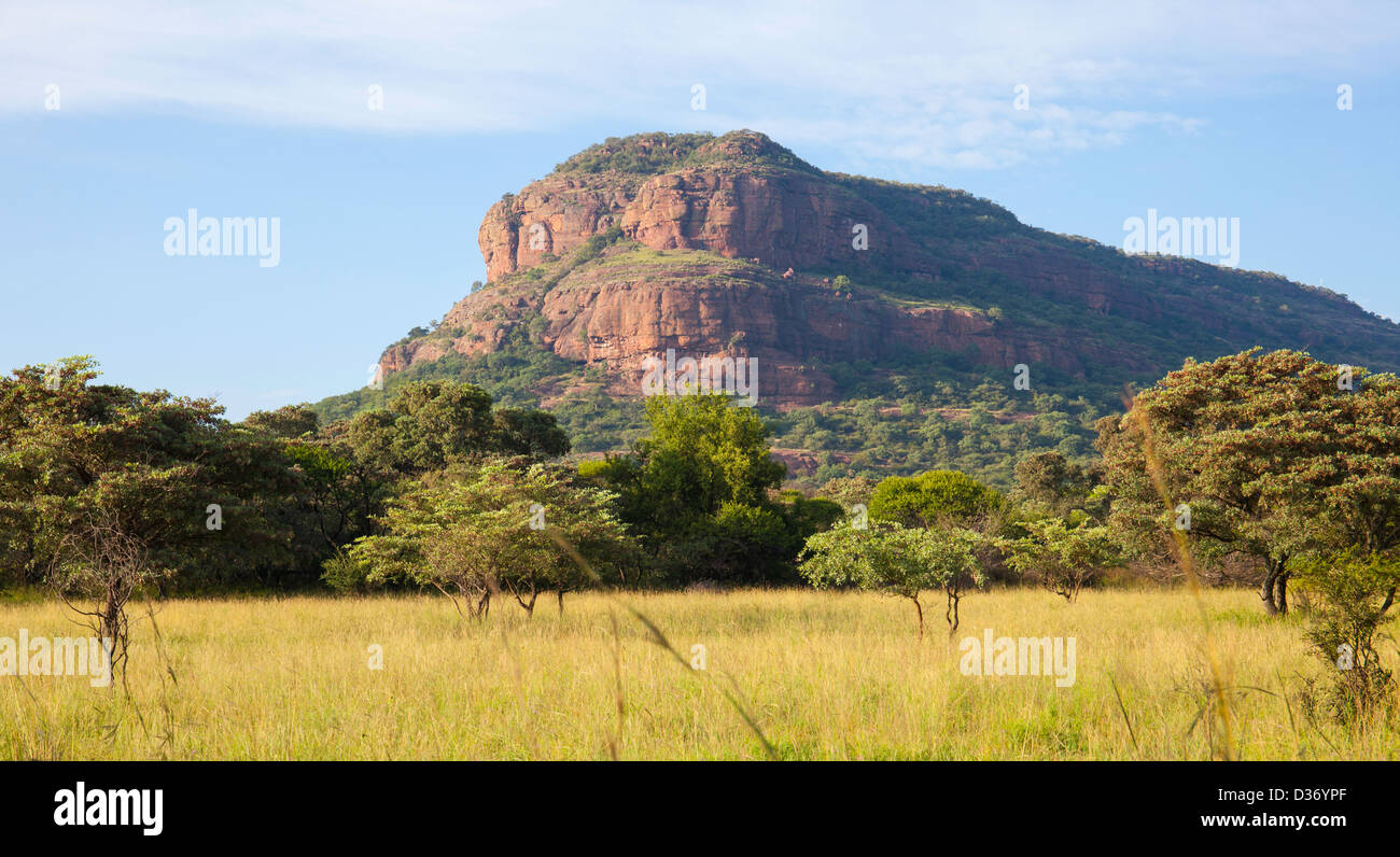 kranskop mountain Stock Photo Alamy