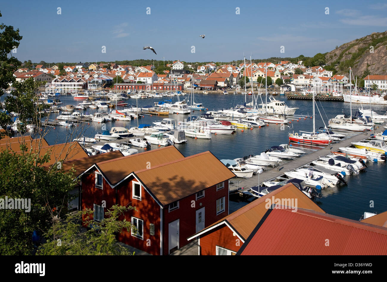Grebbestad, Sweden, port of Grebbestad Stock Photo - Alamy