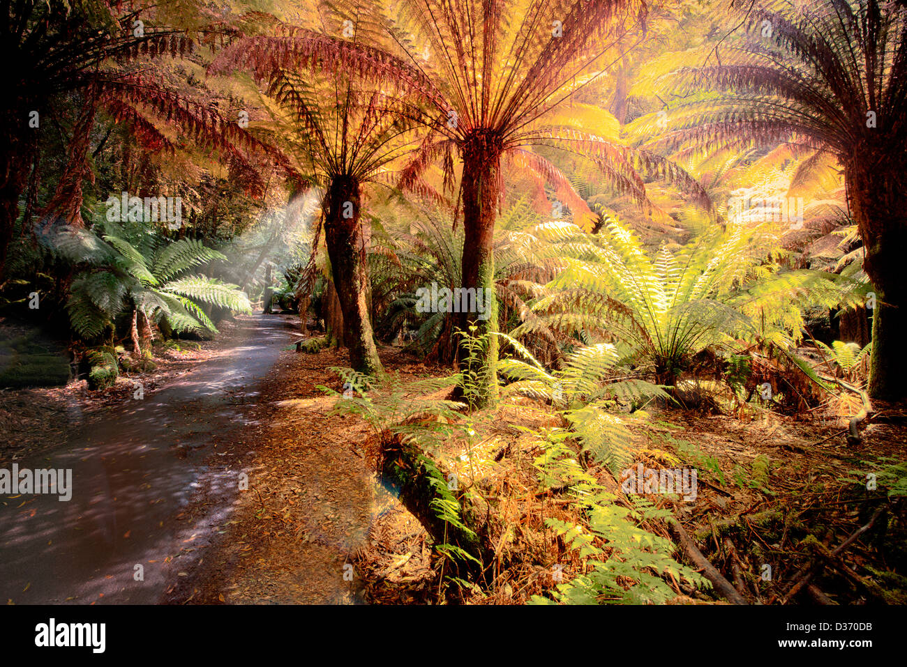 Golden ferns hi-res stock photography and images - Alamy