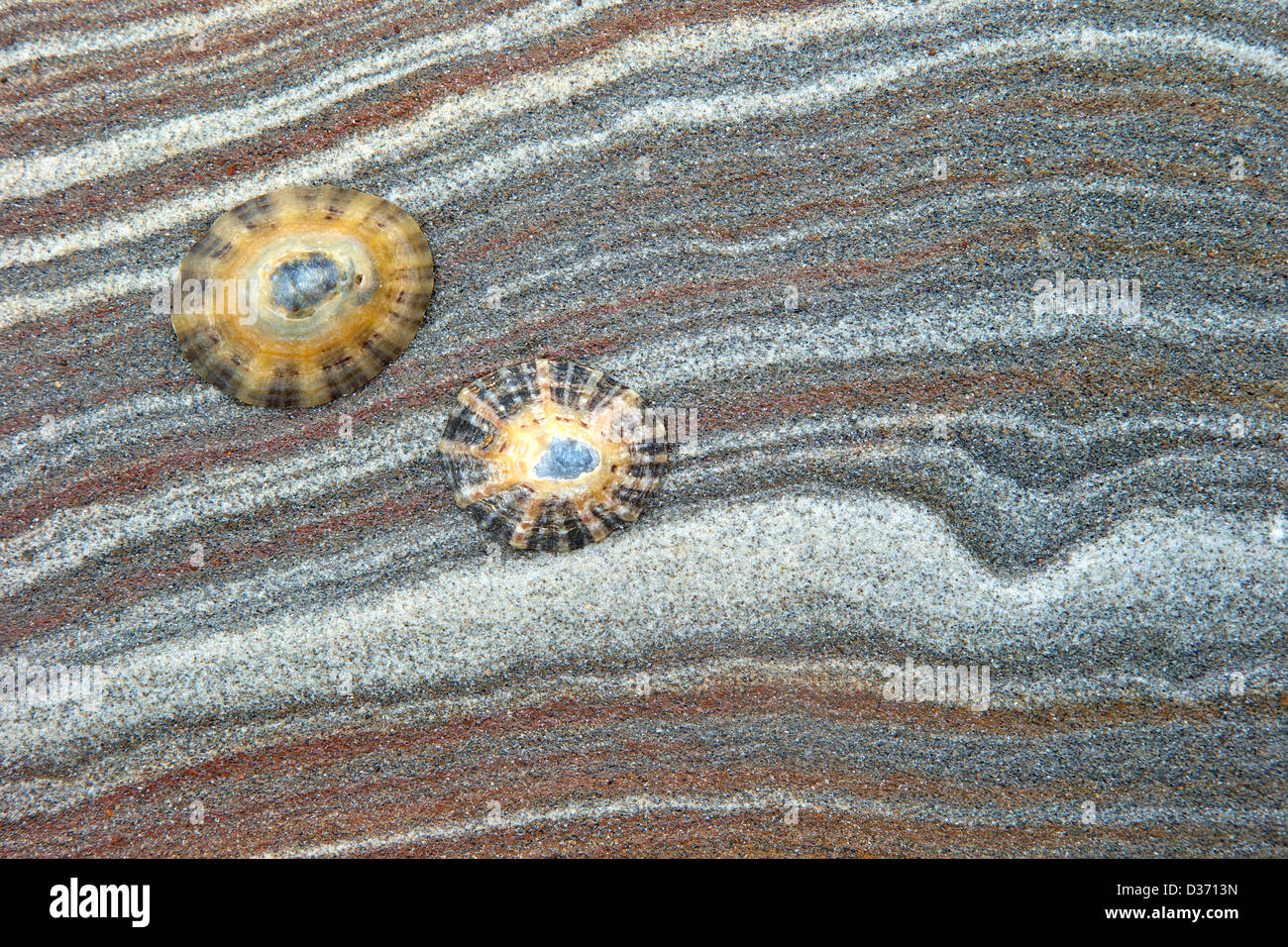 Sedimentary sandstone hi-res stock photography and images - Alamy