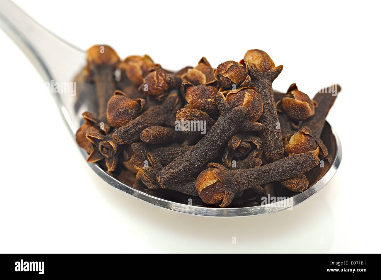 Cloves on teaspoon with shadow and seamless white background Stock