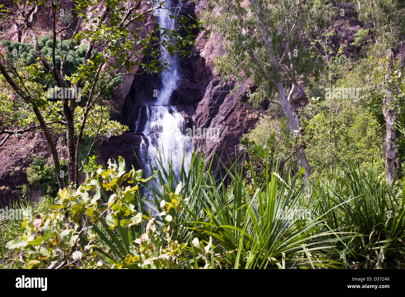 Wangi Falls, Litchfield National Park, Northern Territory, Australia Stock Photo Alamy Wangi Falls, Litchfield National Park, Northern Territory, Australia Stock Photo Alamy