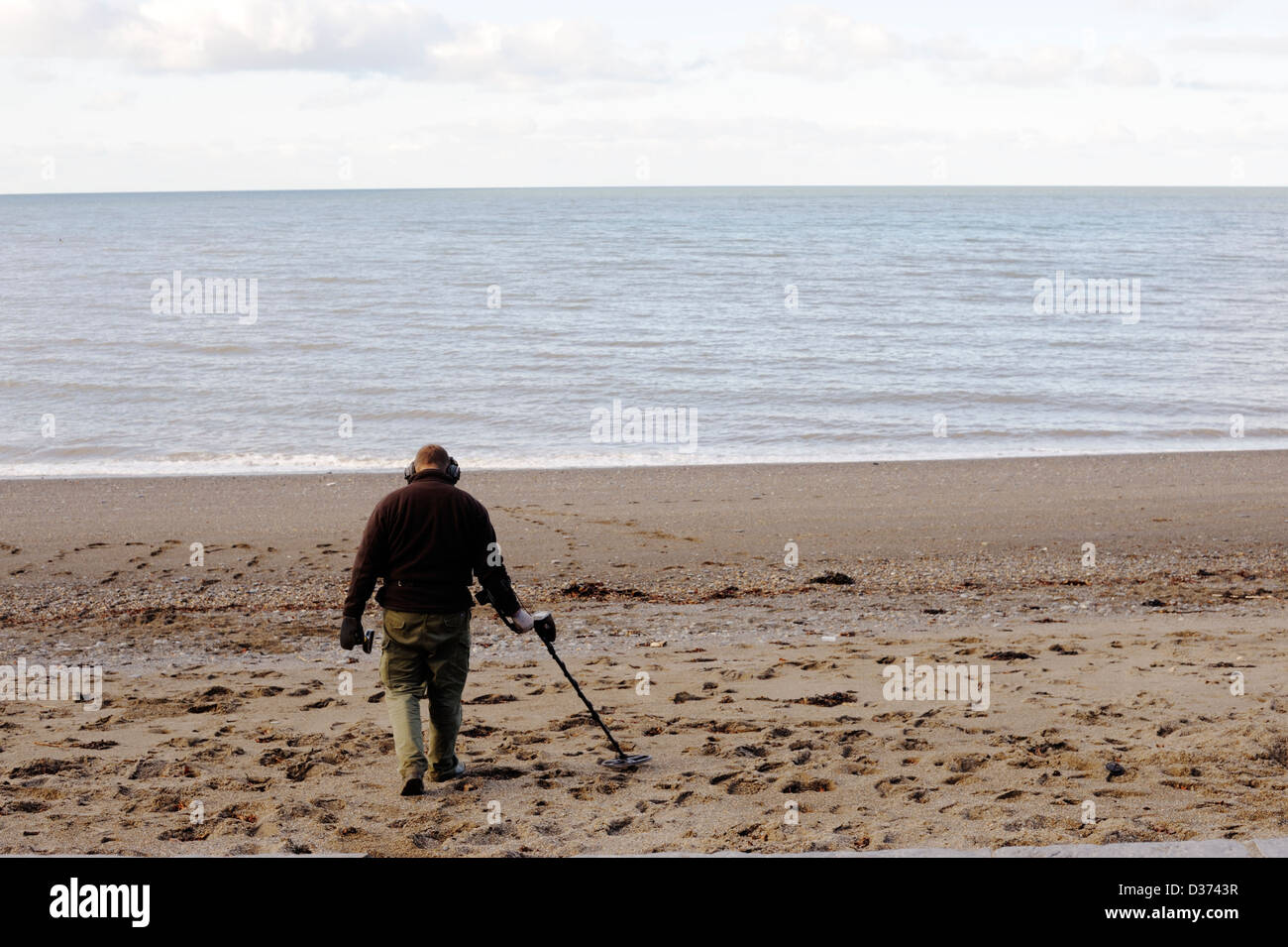 Man searching the beach with a metal detector, Wales Stock Photo Alamy