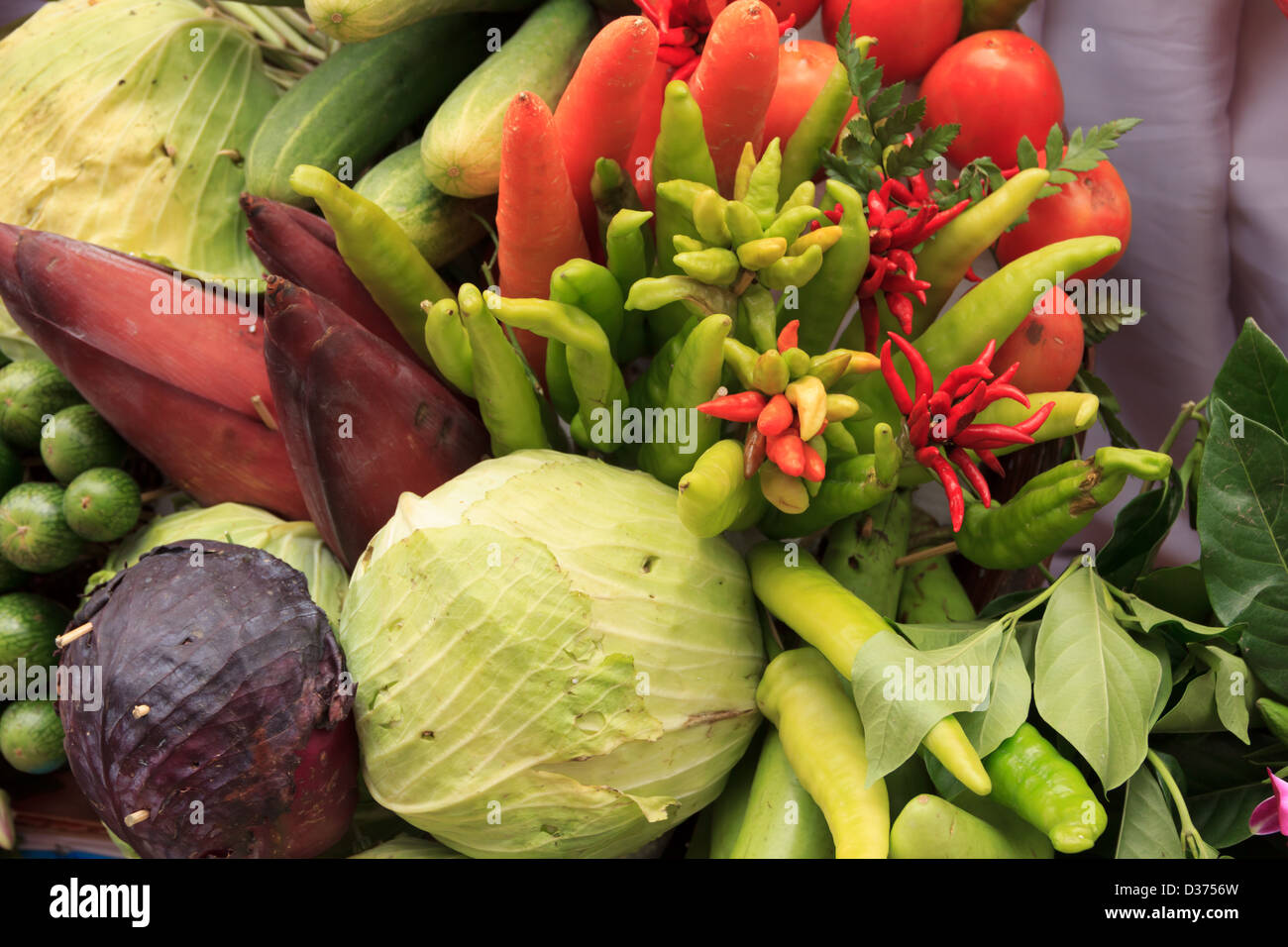 Collection red orange chili hi-res stock photography and images - Alamy