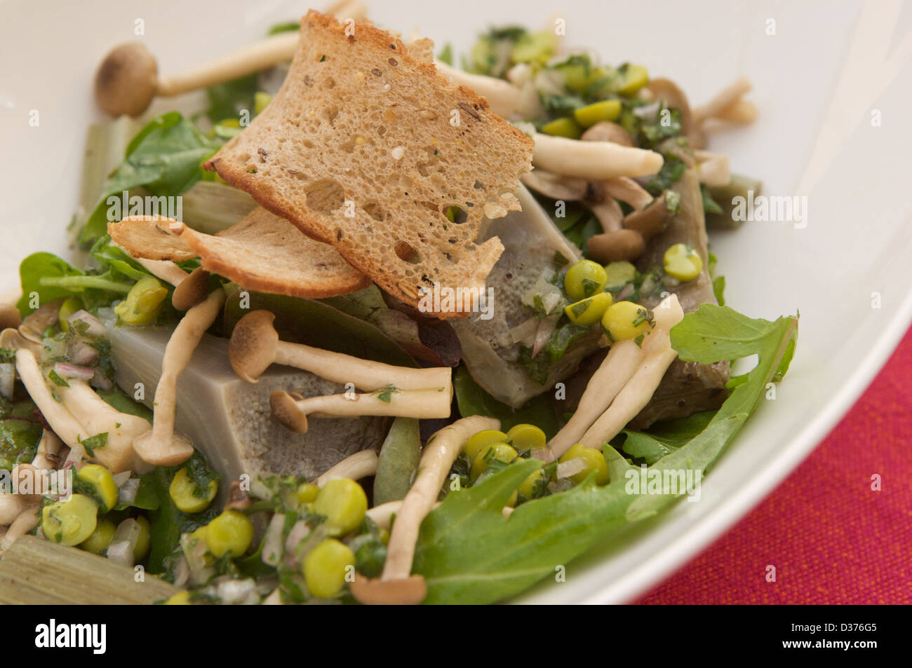 Artichoke salad with pickled shimeji mushrooms and peas served on a bed of green garden salad. Stock Photo
