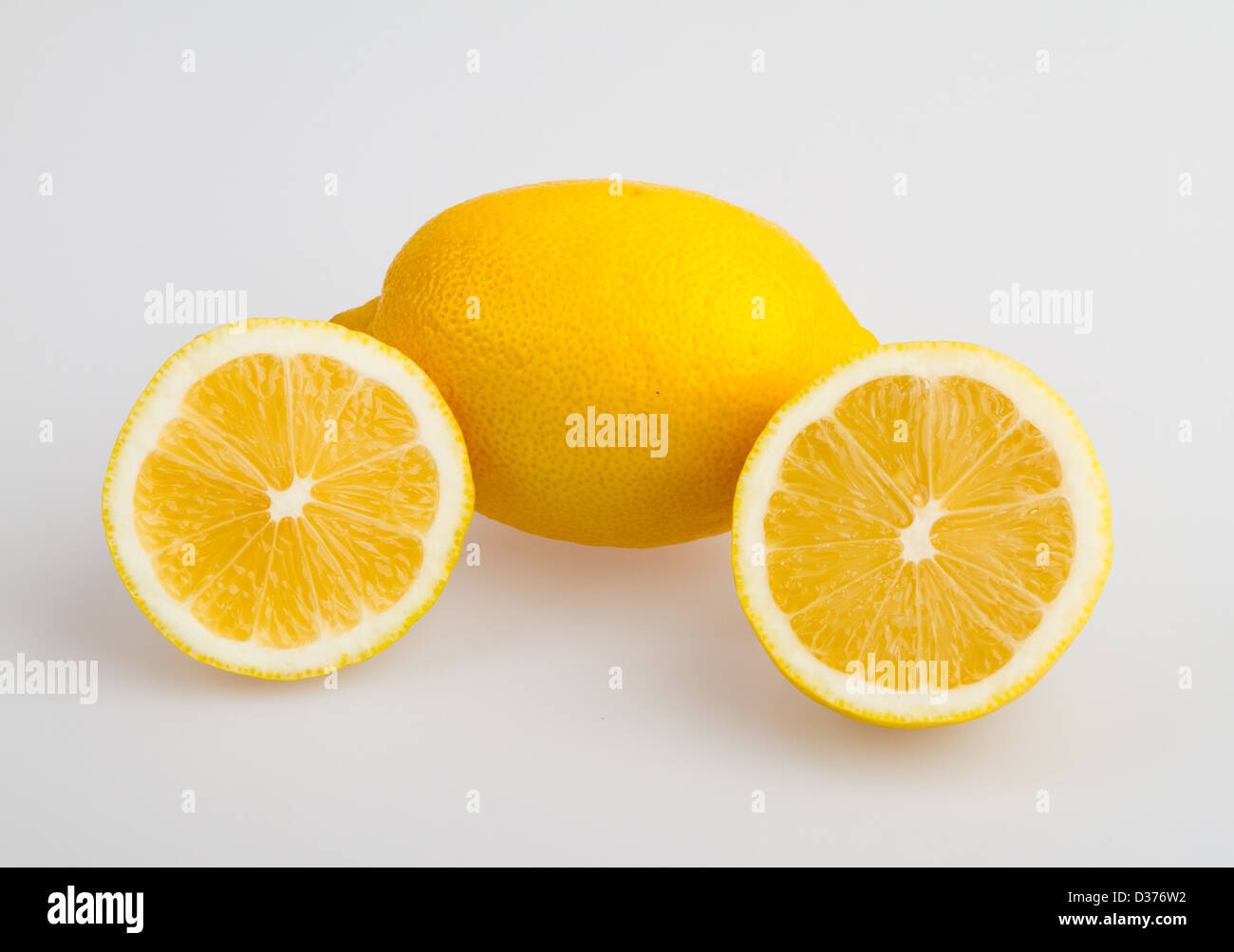 Lemon fruit isolated on white background Stock Photo - Alamy