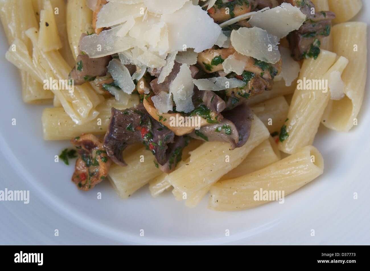 Tortiglioni pasta with wild mushrooms, truffle oil and shaved parmesan