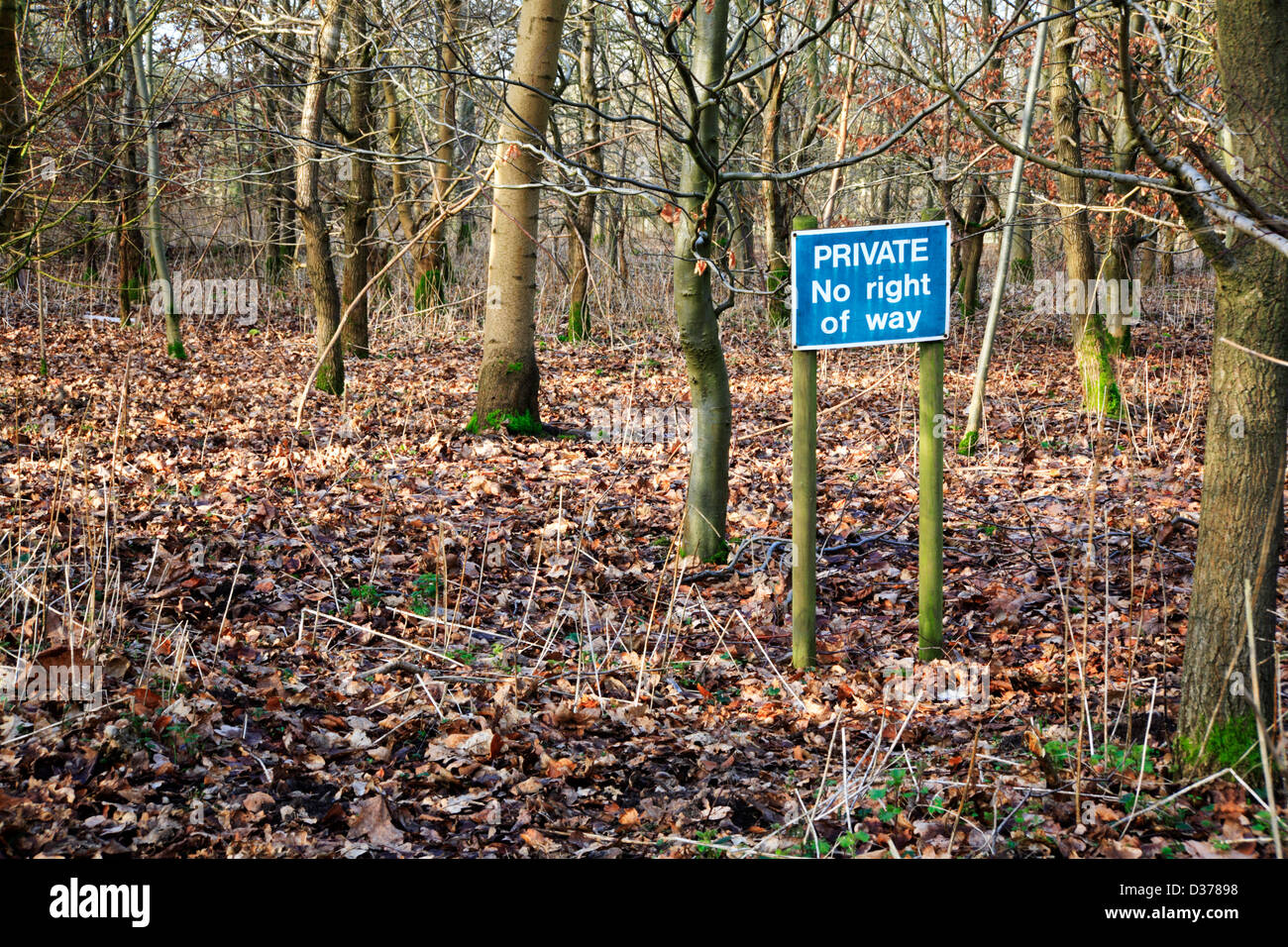 A Private no right of way sign in a woodland in Norfolk, England, United Kingdom. Stock Photo