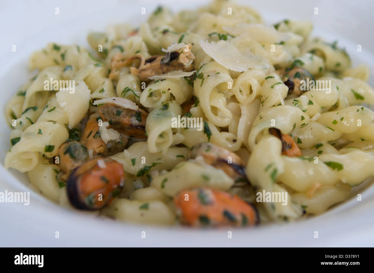 Pasta with mussel mariniere sauce topped with parmesan cheese and ...