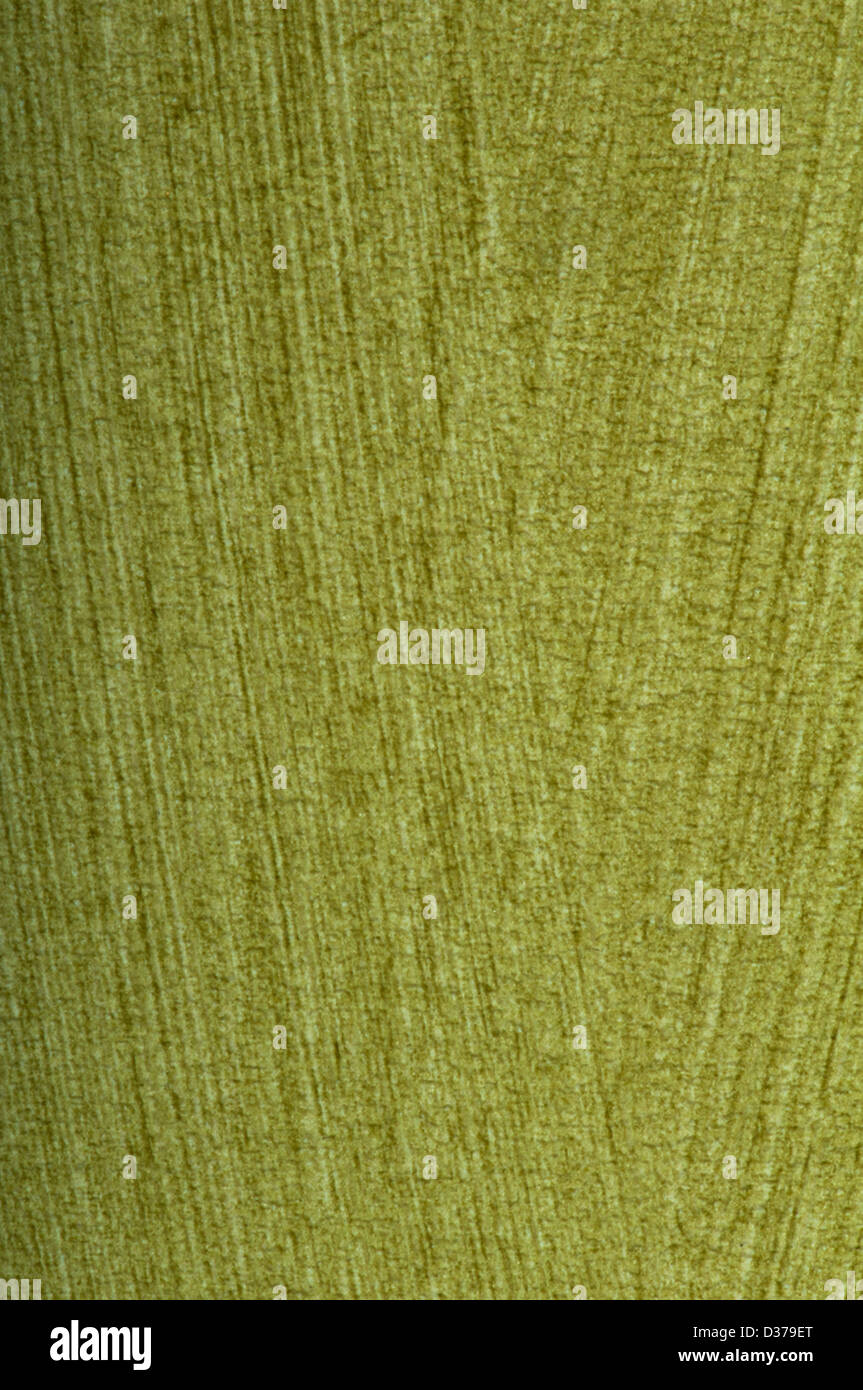 Green wallpaper texture hi-res stock photography and images - Alamy