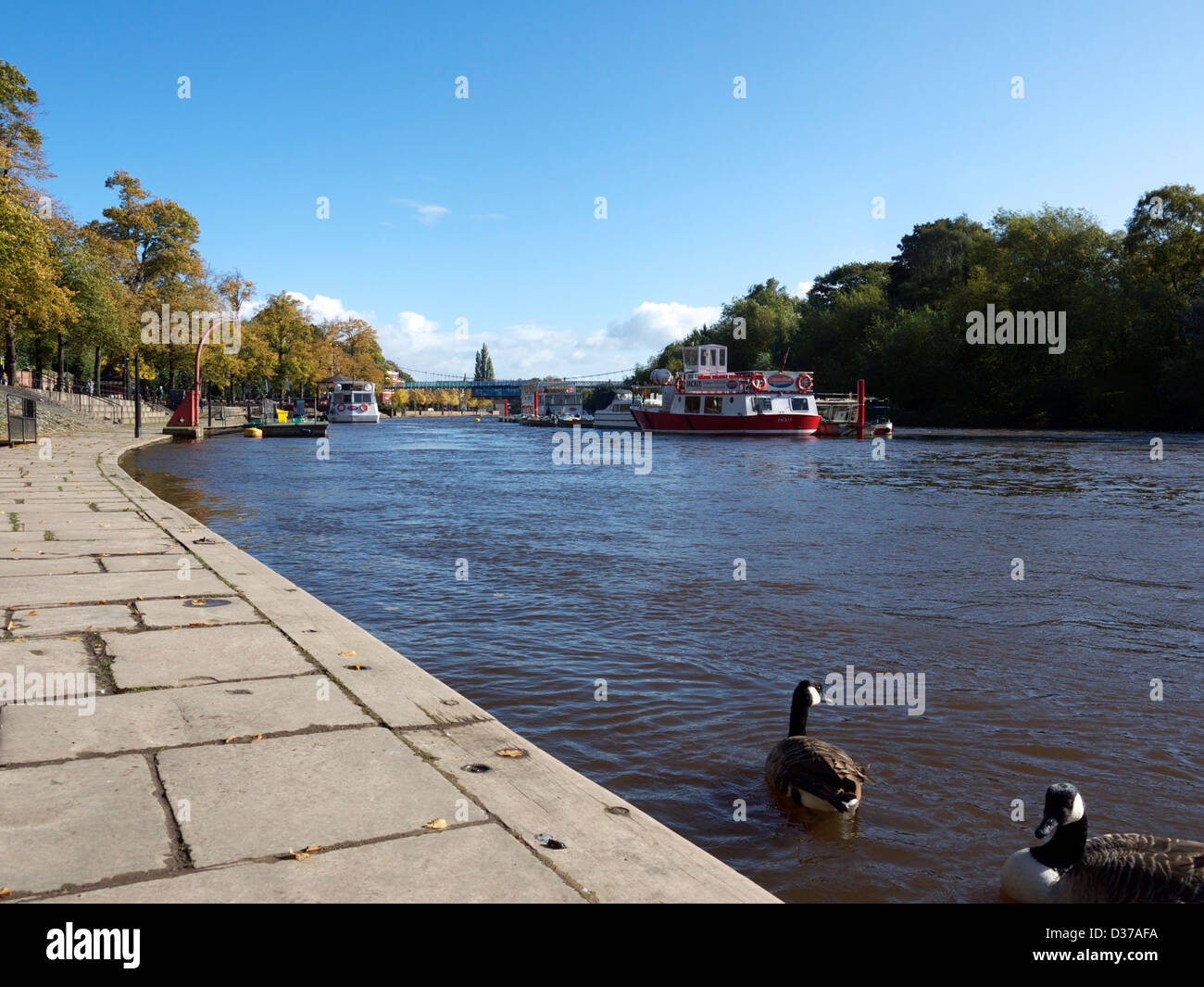 Boats on the River Dee, with ducks in the foreground in Chester, England, UK. Stock Photo