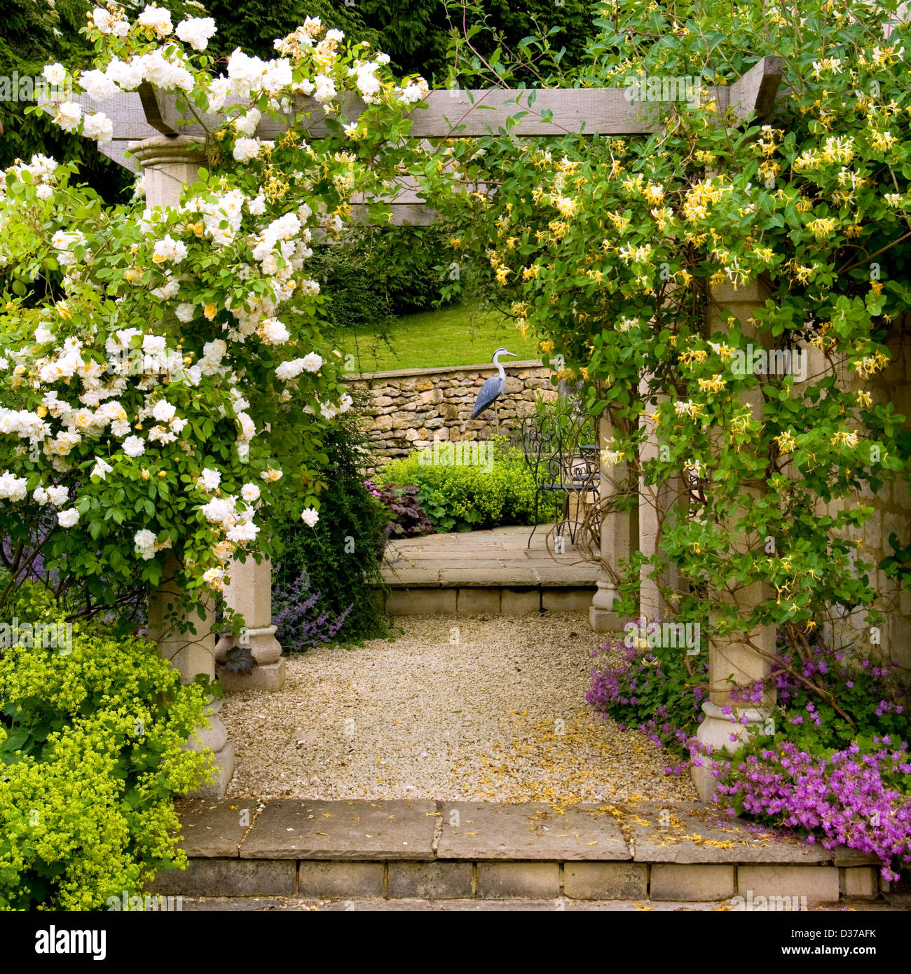 UK gardens. A garden pergola with roses and honeysuckle. Stock Photo