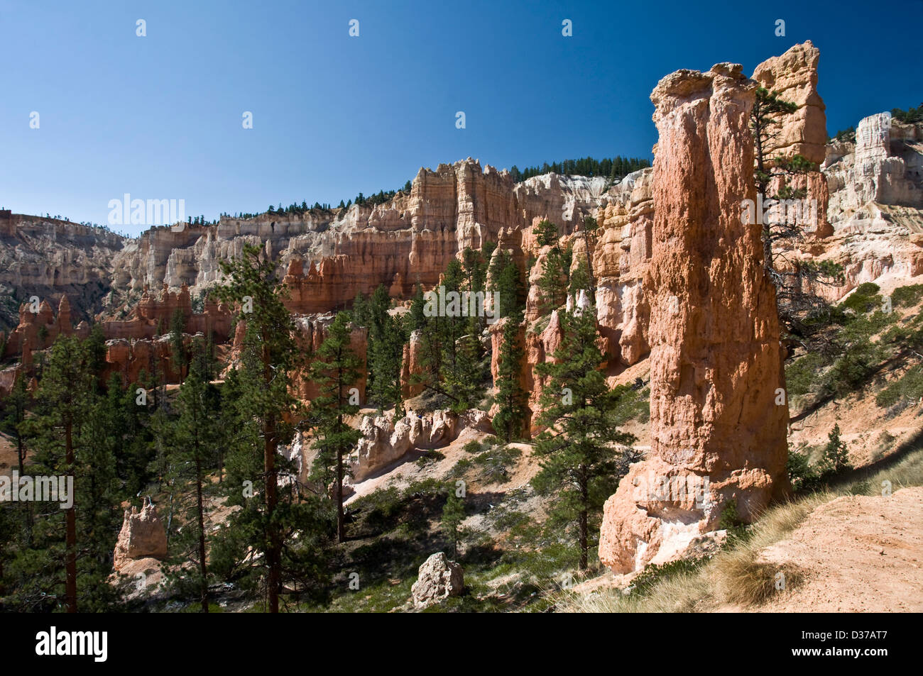 Bryce canyon national park - Utah, USA Stock Photo