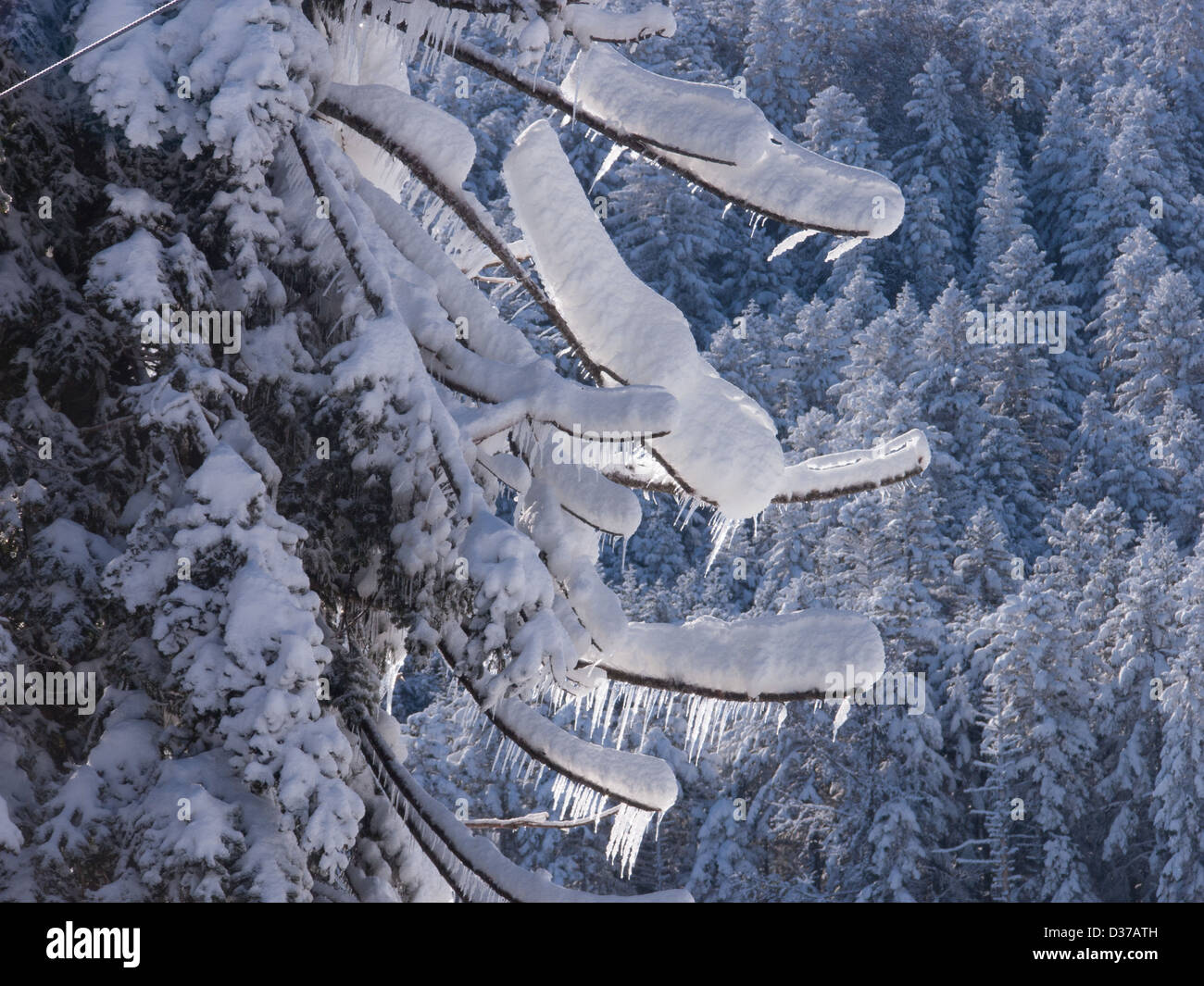 chalmazel,loire,france Stock Photo