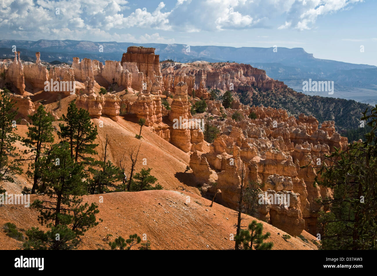 Bryce canyon national parkt - Utah, USA Stock Photo