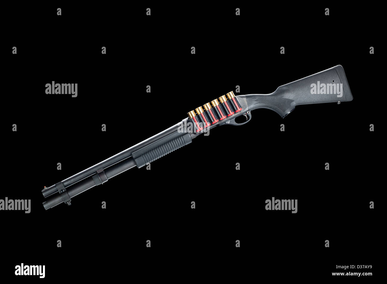 A pump action 12-gauge shotgun with red shells isolated on black. Stock Photo