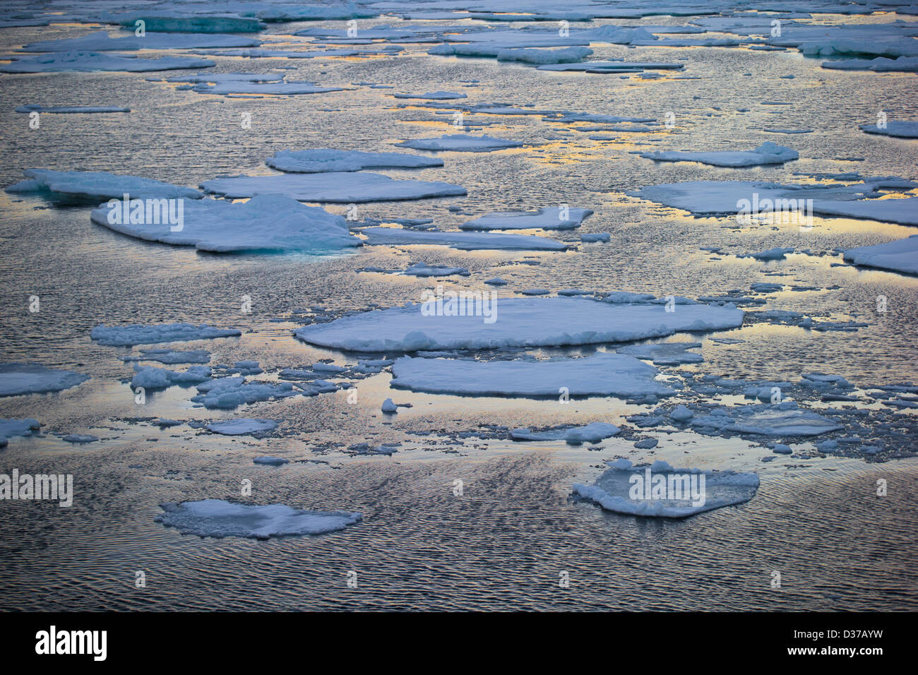 Pancake Ice-North Atlantic Ocean Packed ice-Sailing between Svalbard and Greenland Stock Photo