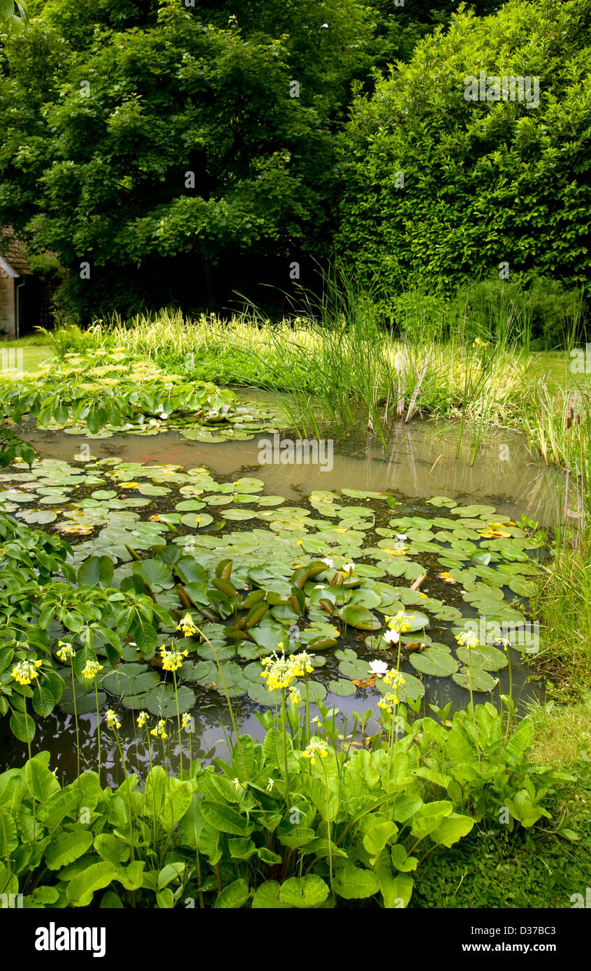 UK gardens. A large mature garden pond with water lilies surrounded by trees. Stock Photo