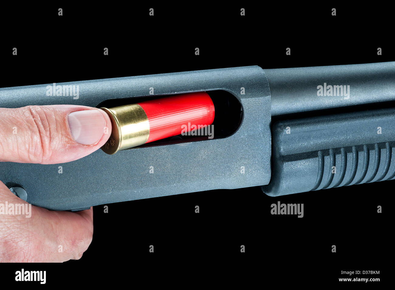 A man loads a red shotgun shell into the chamber of a pump action rifle. Stock Photo