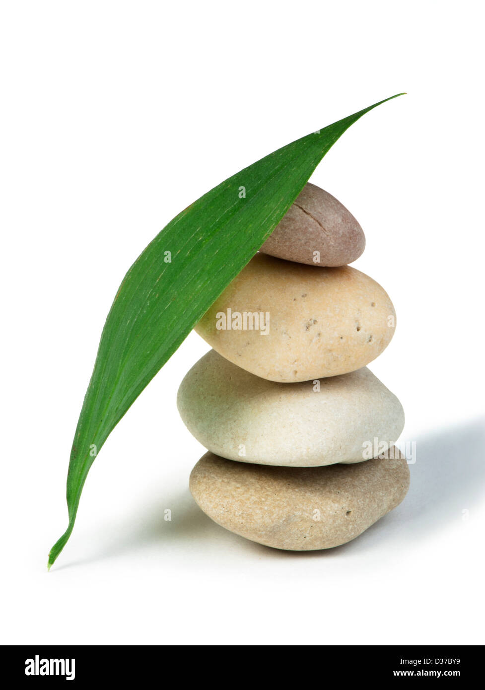 Stacked stones and green leafs on white background Stock Photo