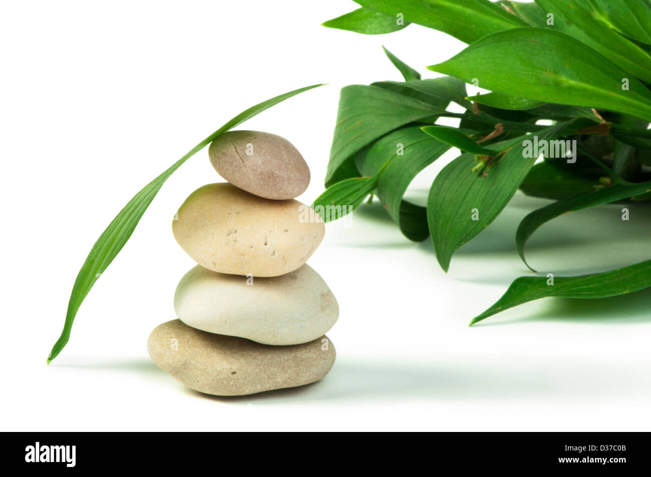 Stacked stones and green leafs on white background Stock Photo - Alamy
