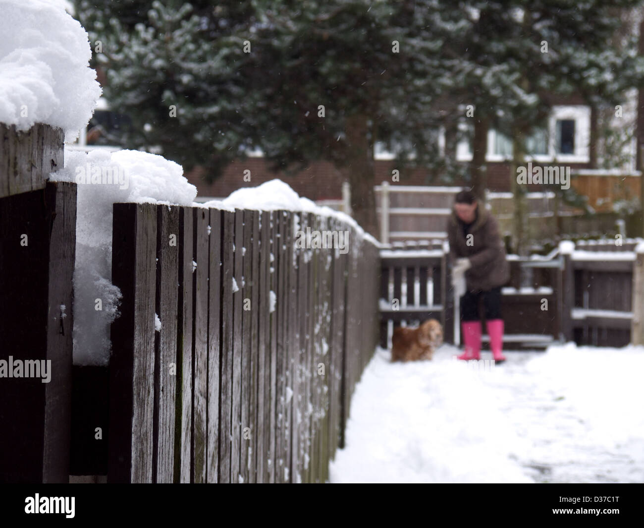 Lady and dog in the snow. Stock Photo