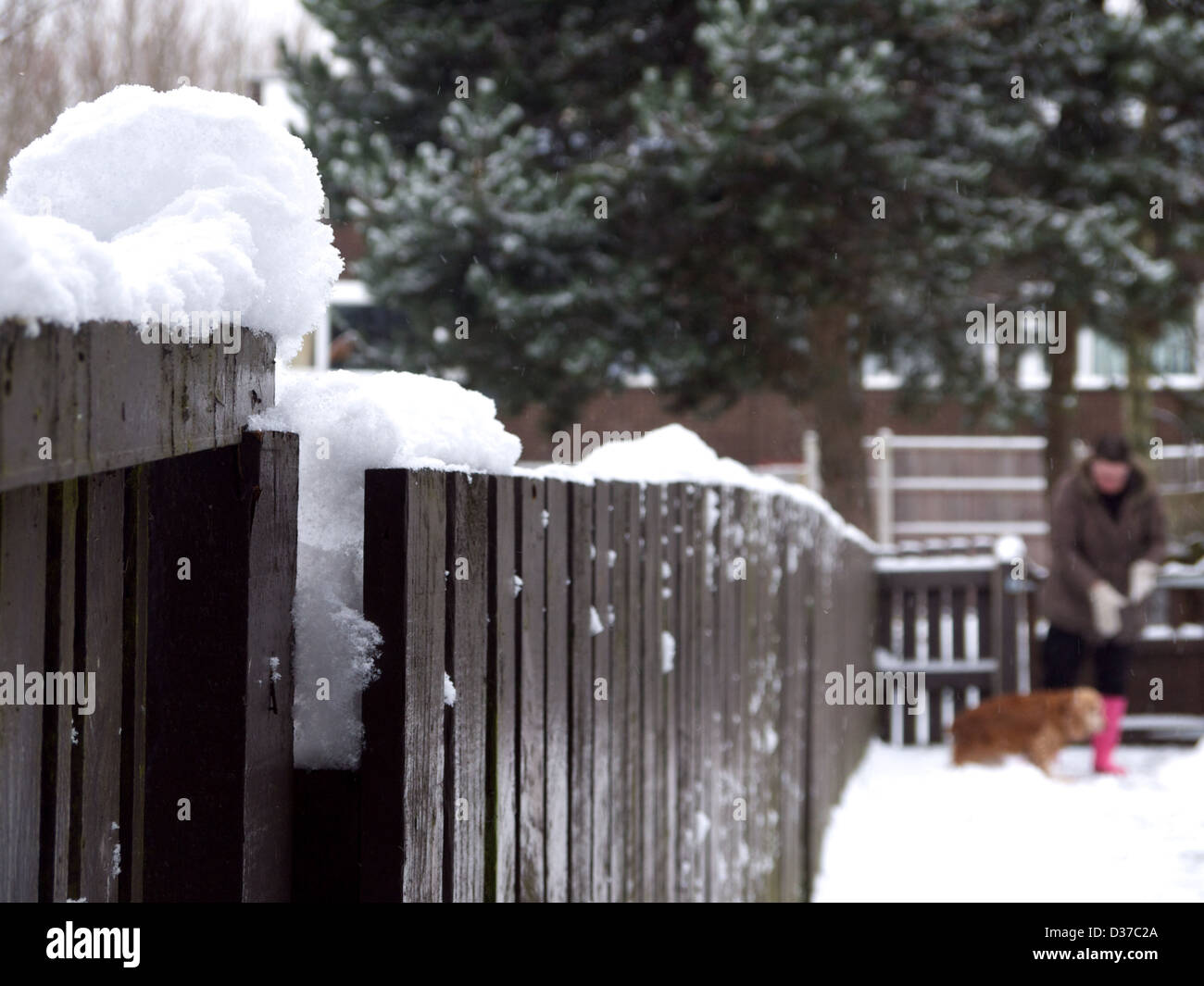 Lady and dog in the snow. Stock Photo