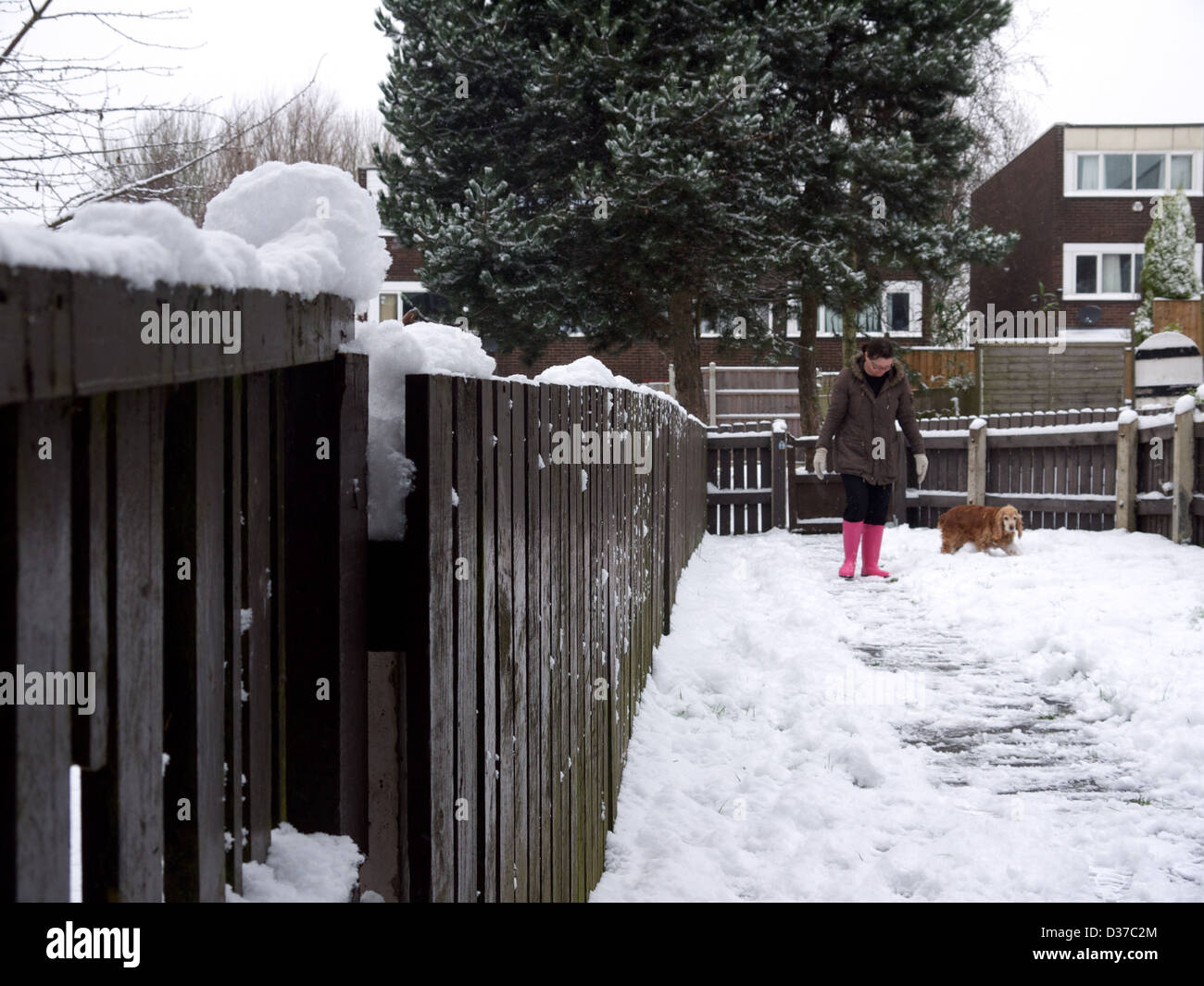 Lady and dog in the snow. Stock Photo