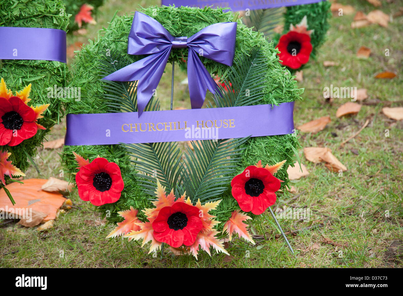 Remembrance Day wreath with poppies laying in grass Stock Photo Alamy