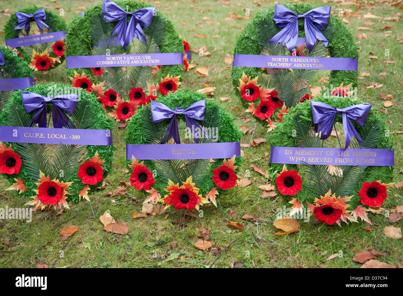 Remembrance Day wreaths with poppies laying in the grass Stock Photo ...
