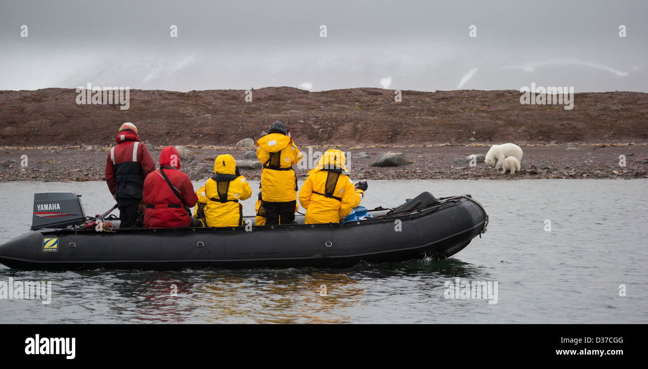 Tourist in Zodiacs watching and photographing polar bears, Svalbard, Norway Stock Photo