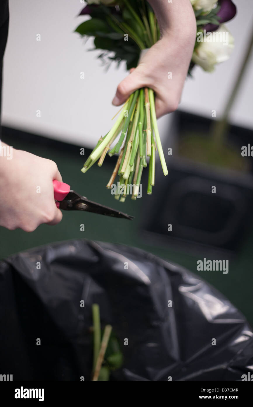 Flower arranger kit hires stock photography and images Alamy