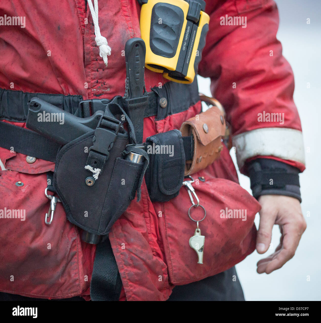 Polar Bear guide wearing a security belt, Svalbard, Norway Stock Photo