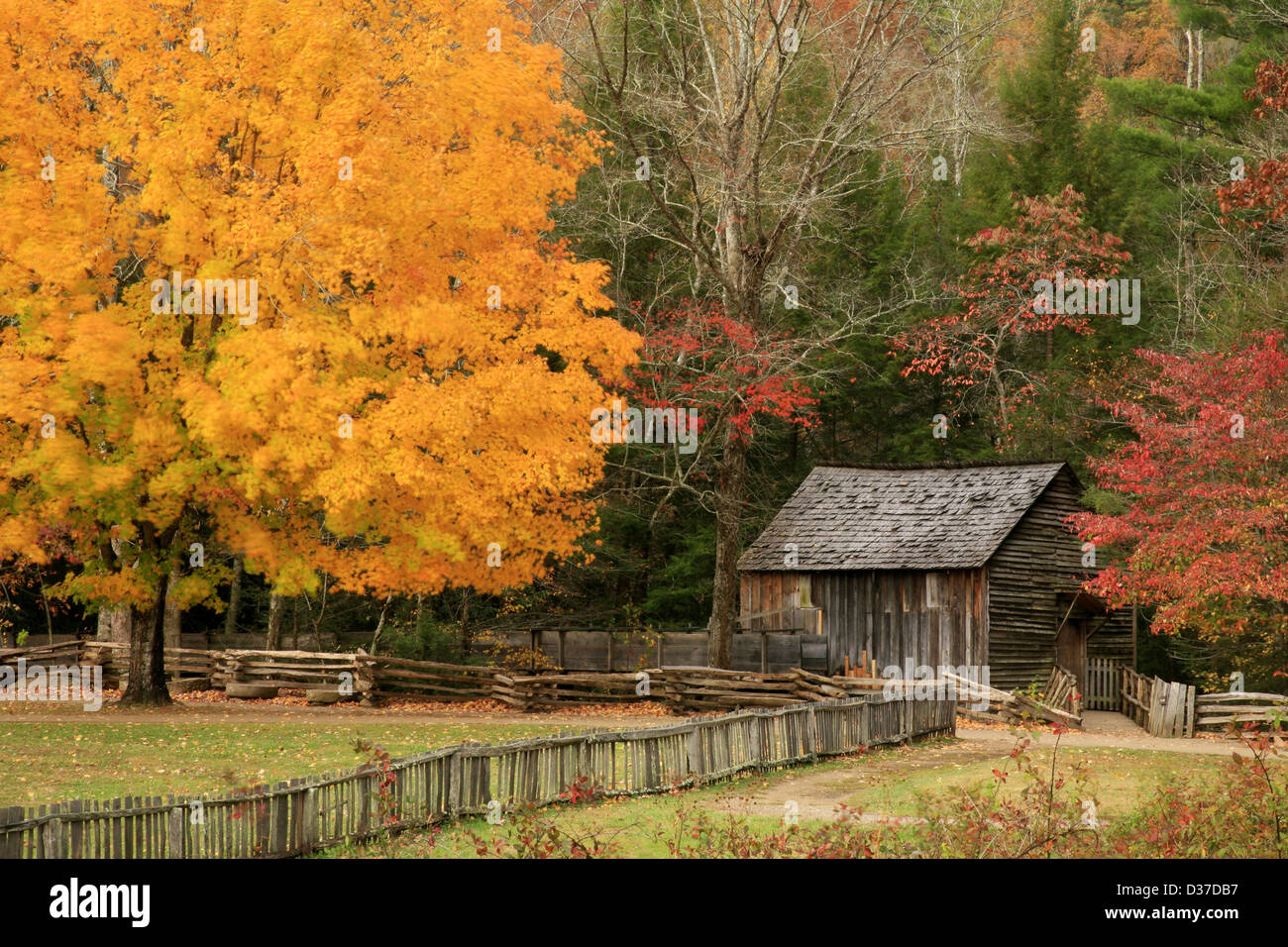 John Cable Mill, Cades Cove, Great Smoky Mountains National Park, Tennessee, autumn Stock Photo
