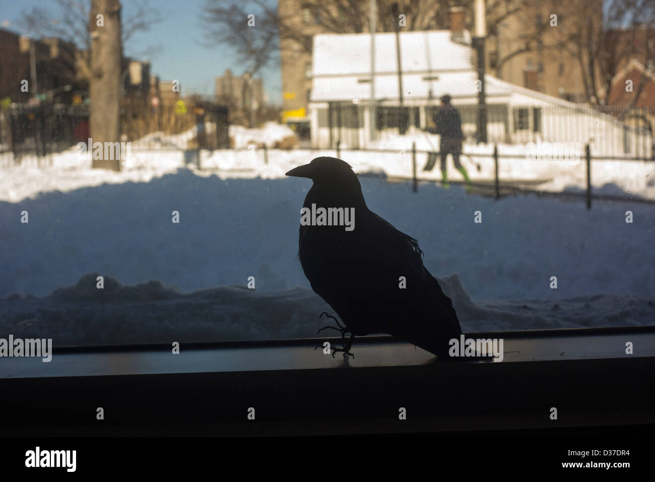 Edgar Allan Poe cottage in Poe Park in the Bronx in New York Stock