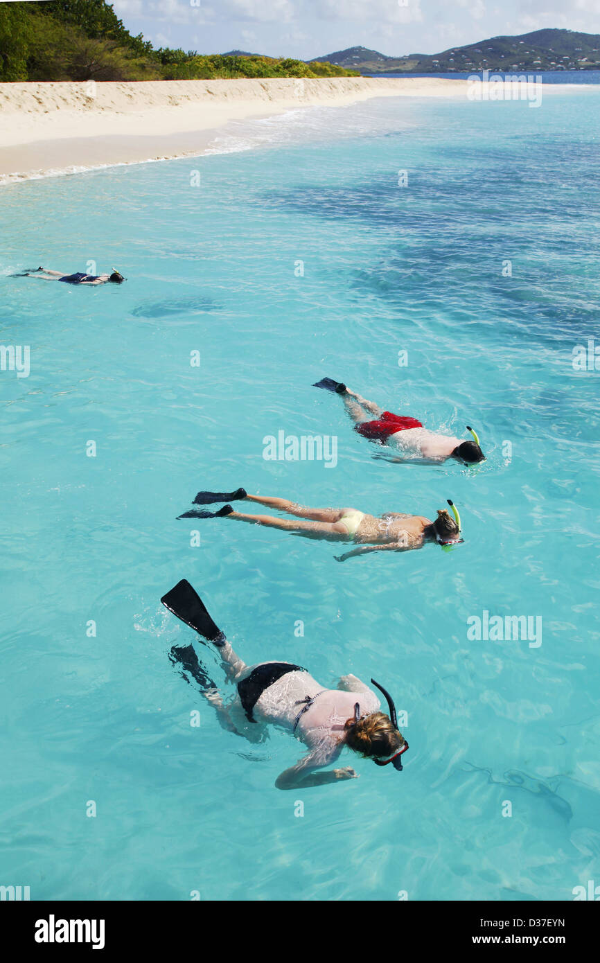 Snorkeling, Buck Island, US Virgin Islands, Caribbean Stock Photo Alamy