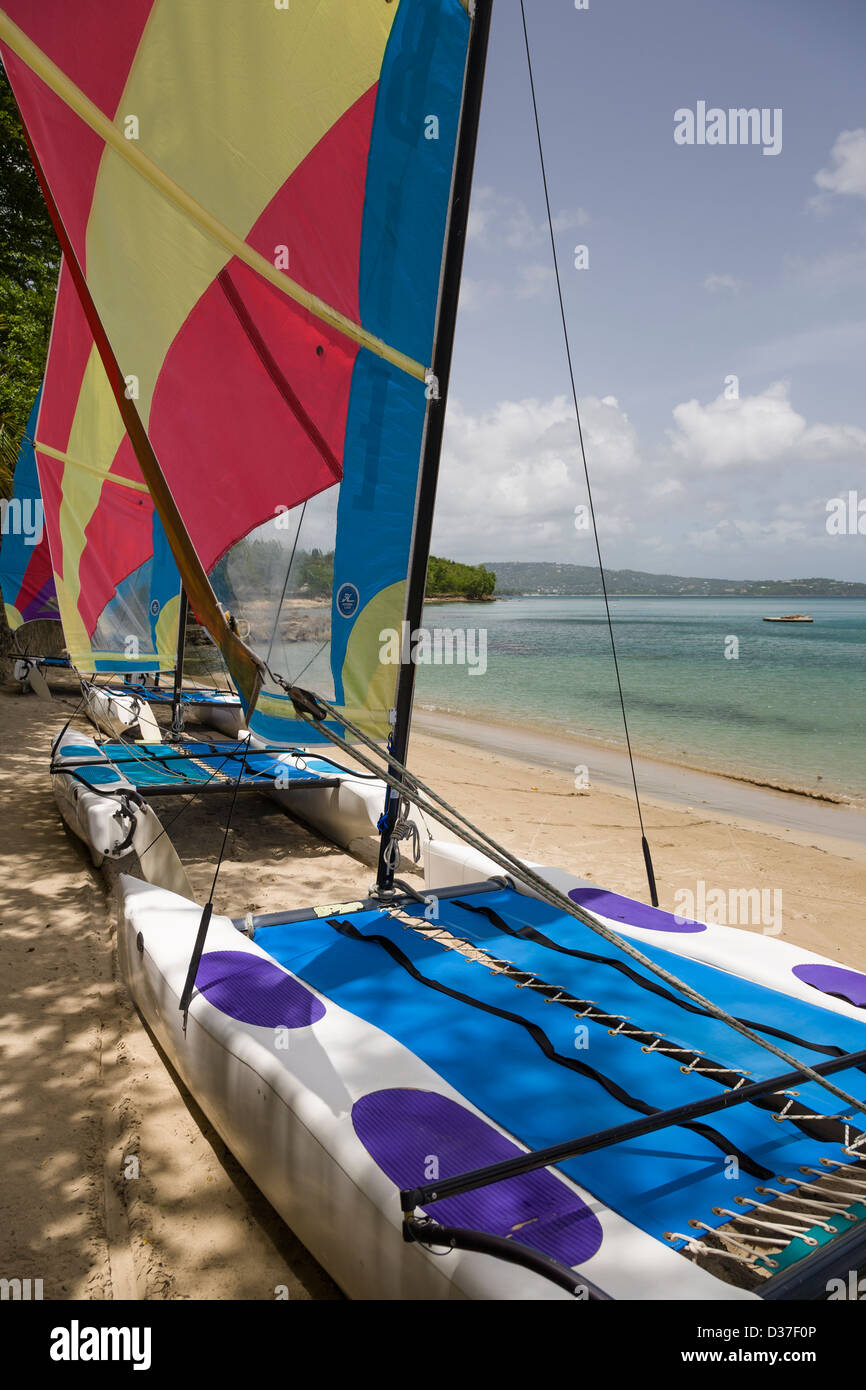 Colourful catamarans lined up on a sandy beach in St Lucia, West Indies. Stock Photo